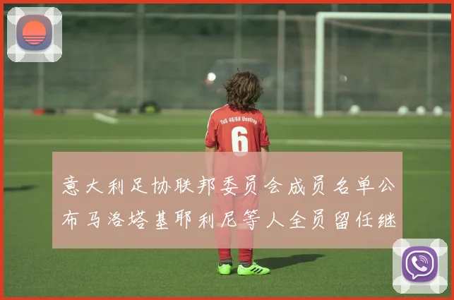意大利足协联邦委员会成员名单公布马洛塔基耶利尼等人全员留任继续服务