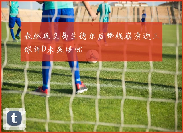 森林狼交易兰德尔后锋线崩溃迎三球评D未来堪忧