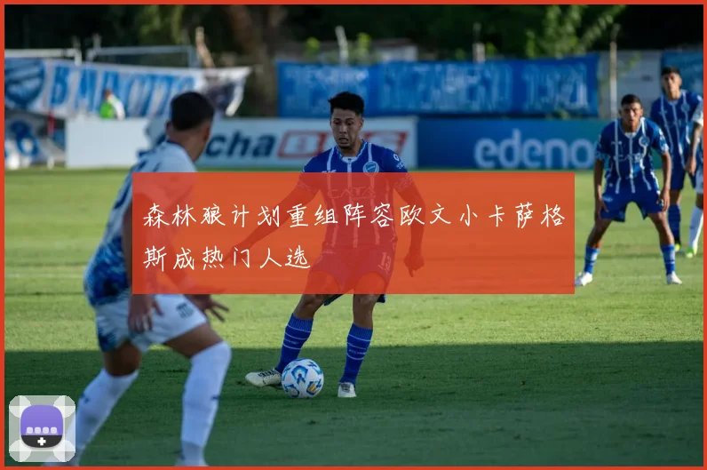 森林狼计划重组阵容欧文小卡萨格斯成热门人选