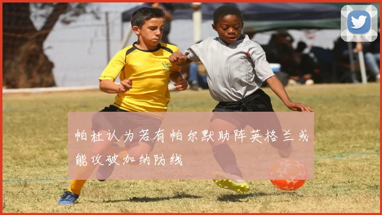 帕杜认为若有帕尔默助阵英格兰或能攻破加纳防线